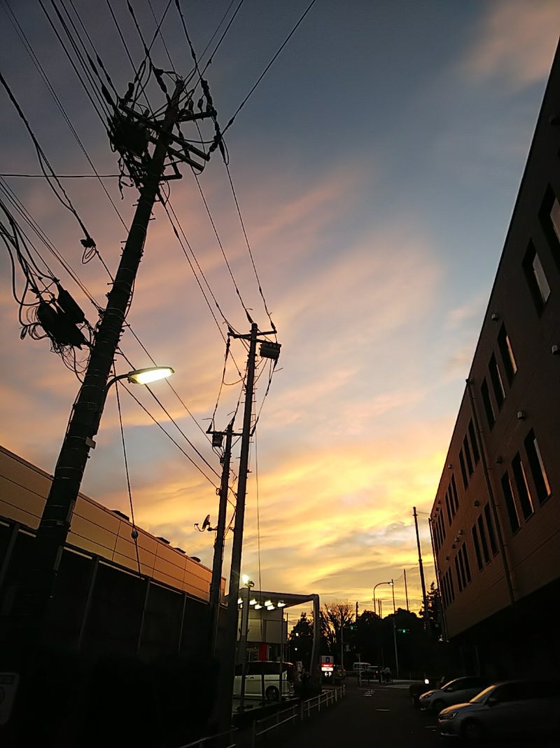 夏の夕方1.jpg