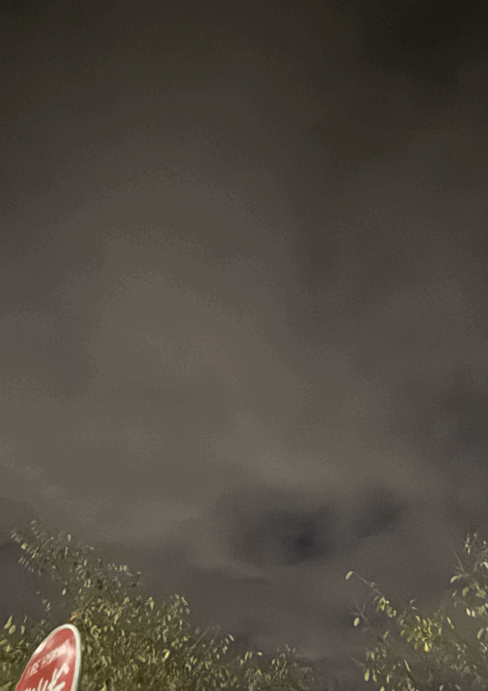 tempImageb0Jvqn.gif