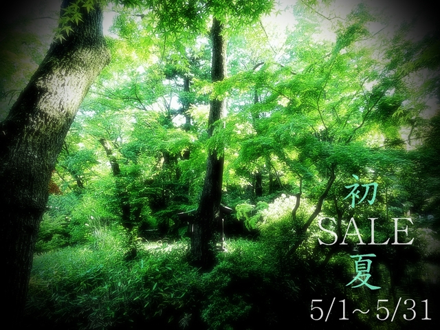 2025年5月SALE.JPG