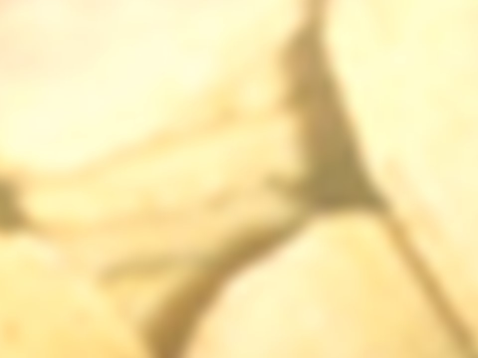 クッキー3.jpg