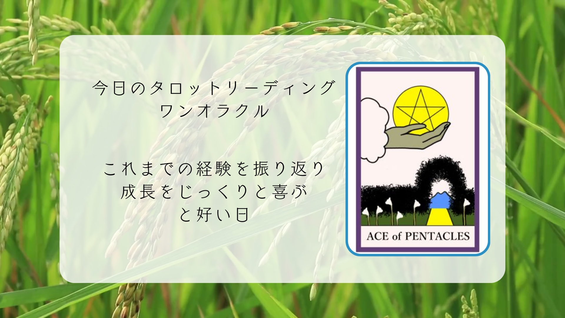 2025.12.9 ペンタクルのエース.png