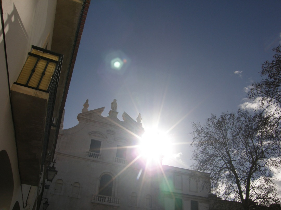 P1251260.JPG