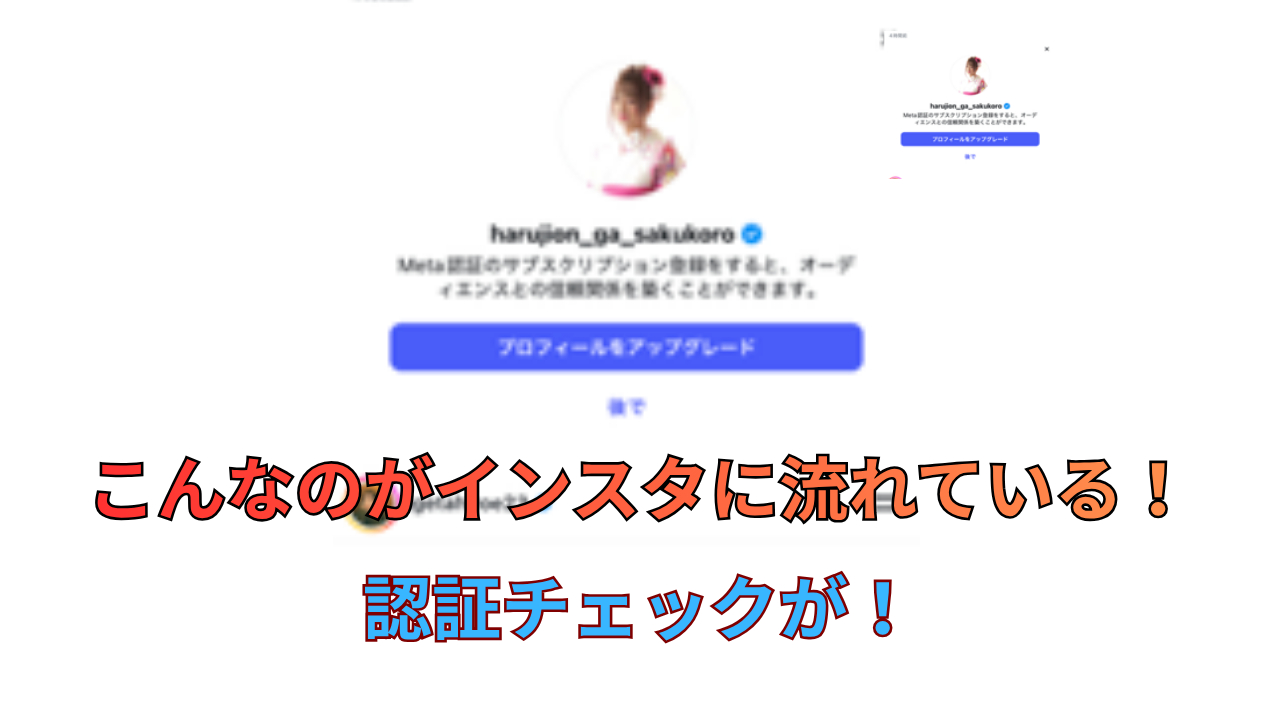 こんなのがインスタに流れている！.png