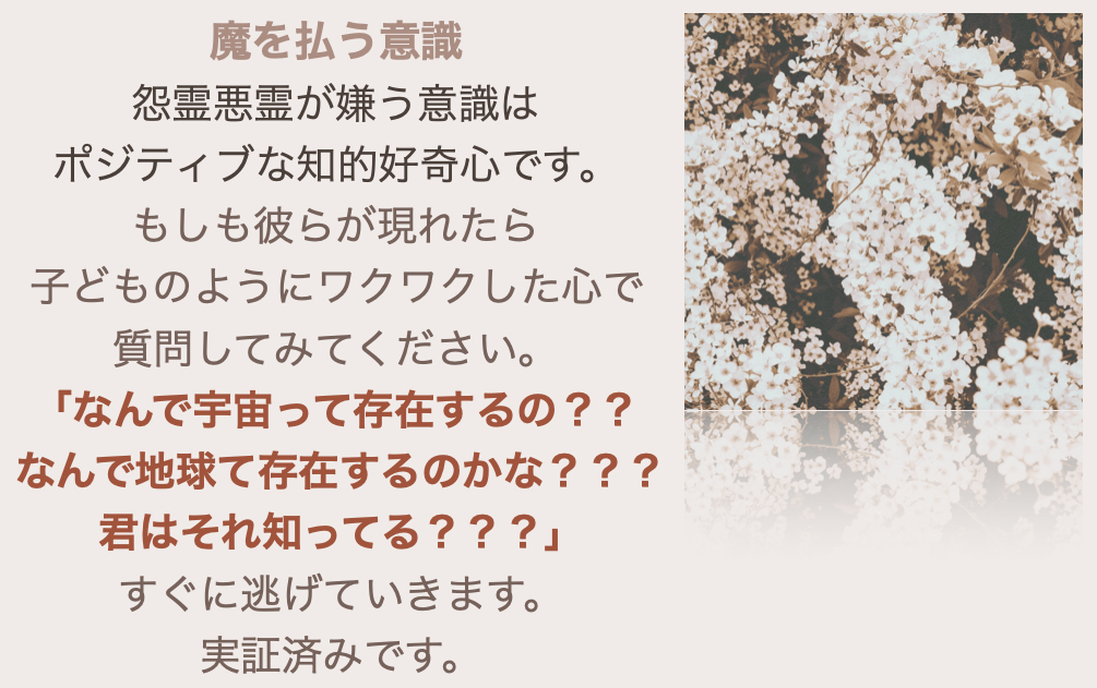 スクリーンショット 2024-08-26 15.47.02.png