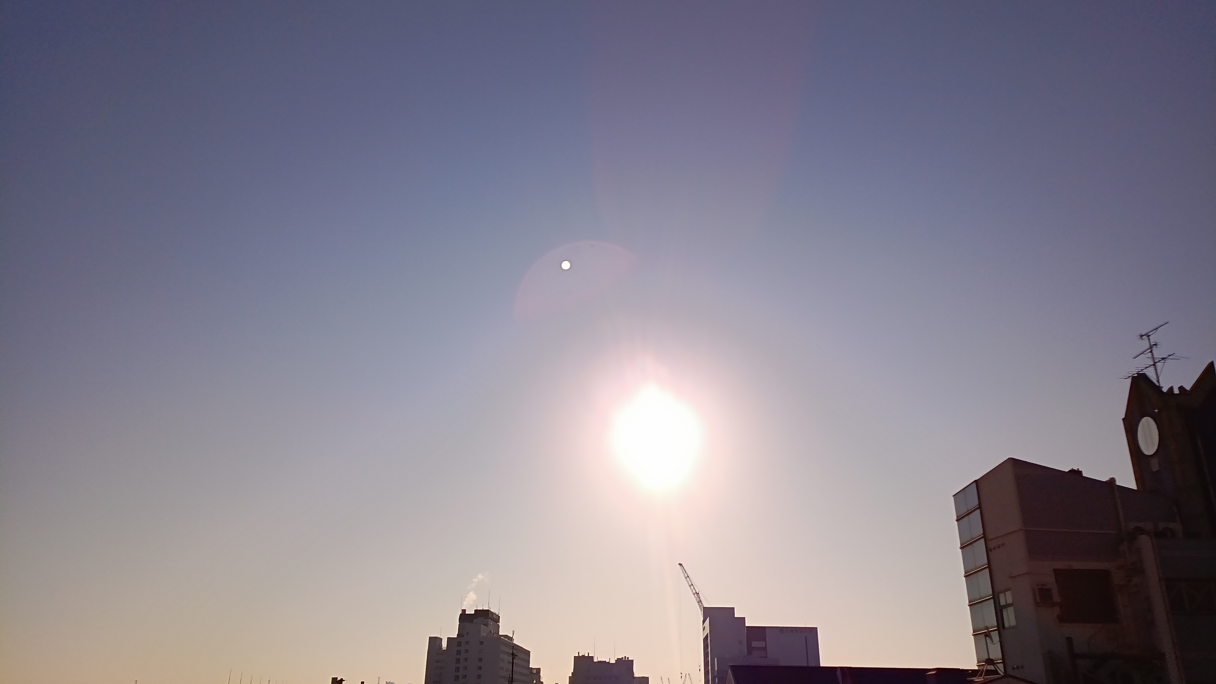 IMG_20250310_073847_374.jpg
