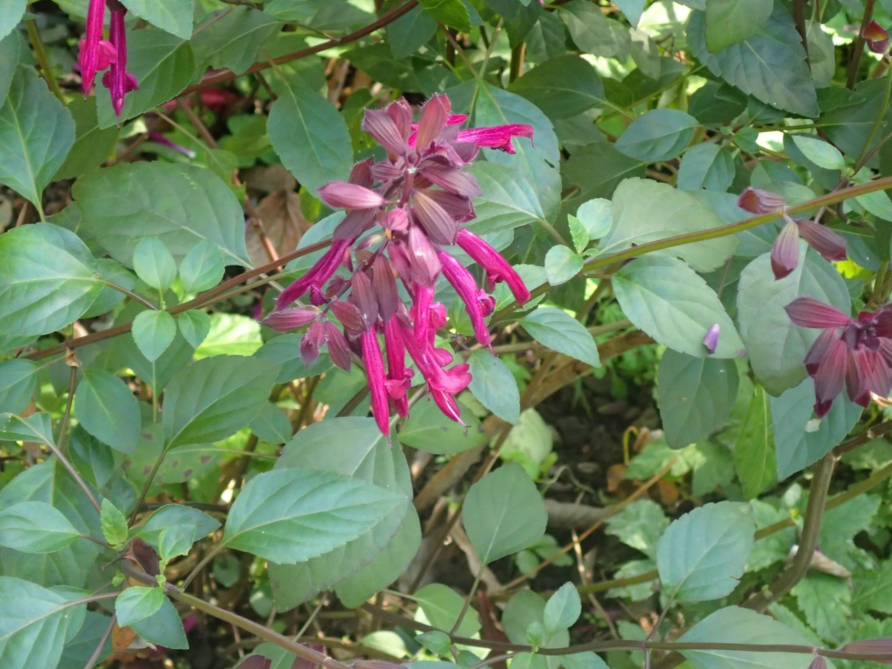 PB170791.JPG