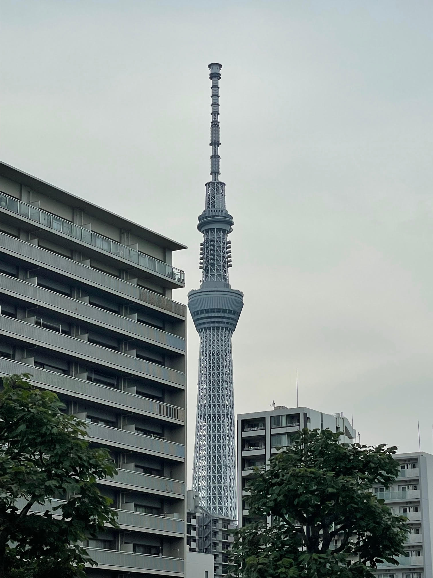 スカイツリー.jpg