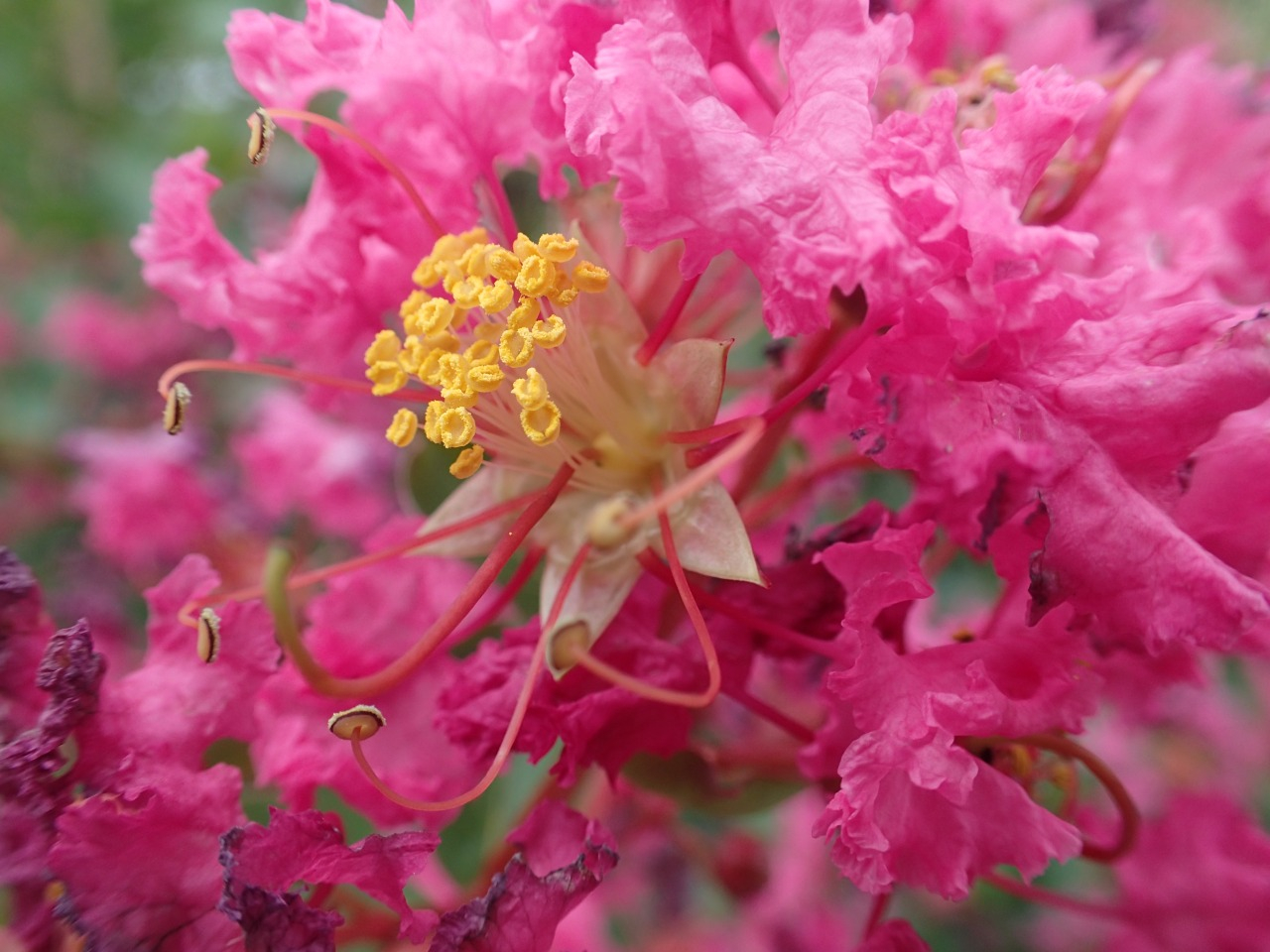 PA050249.JPG
