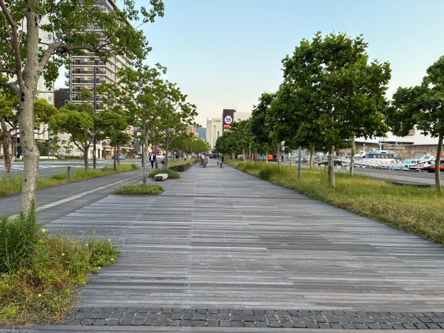 IMG_9301.jpeg