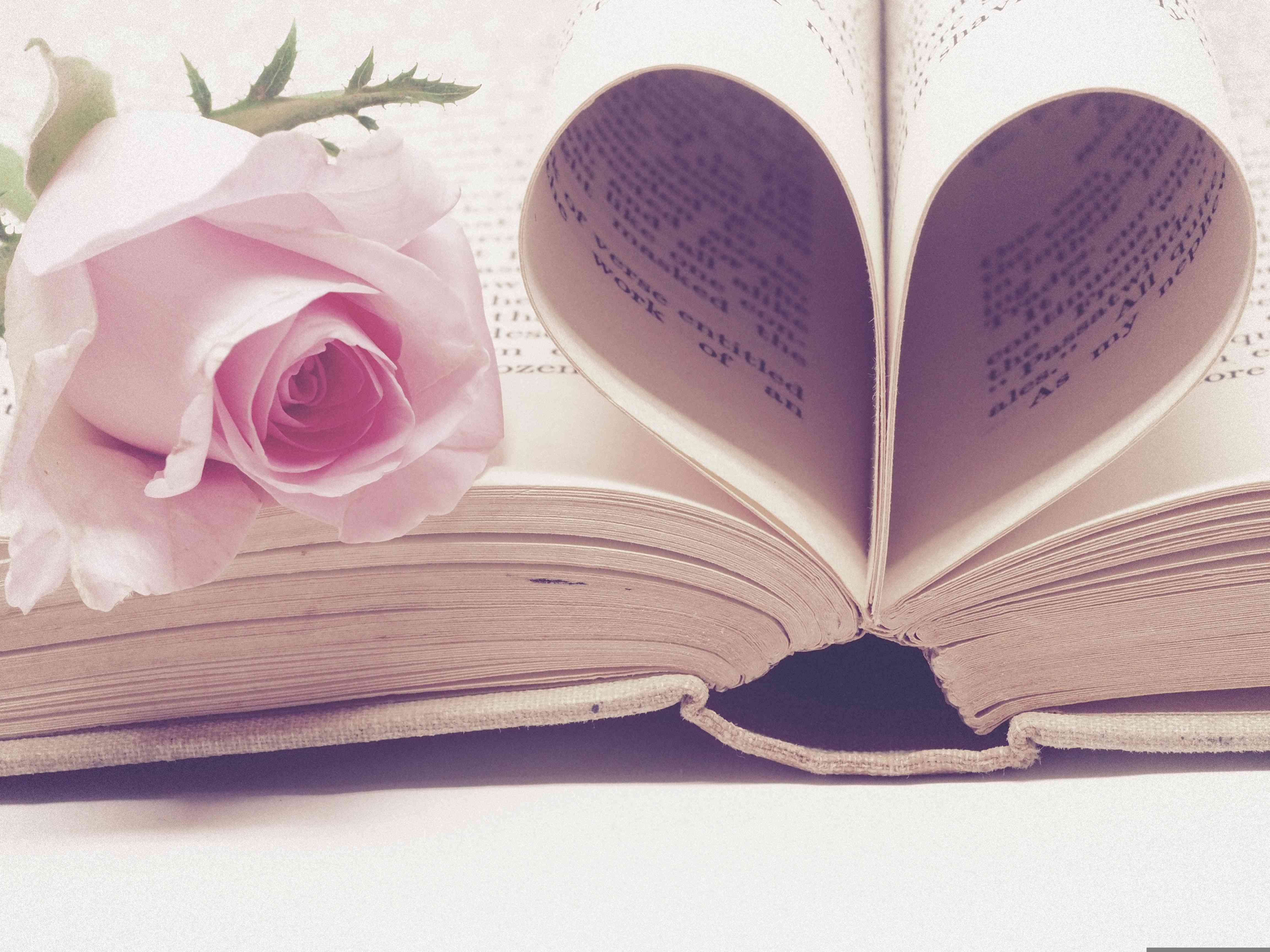 jessbaileydesign-valentines-day-background-3060241.jpg