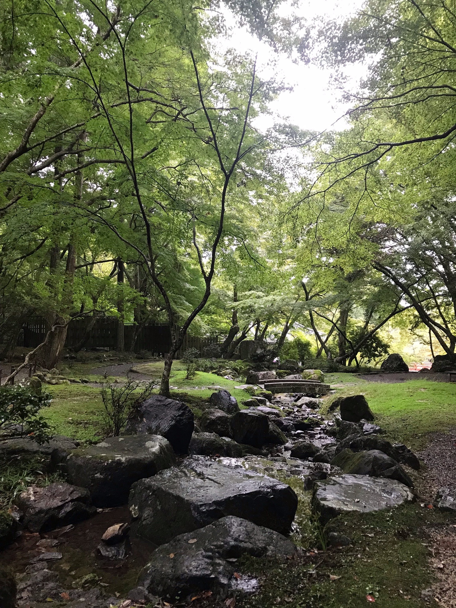 image2 5.jpeg
