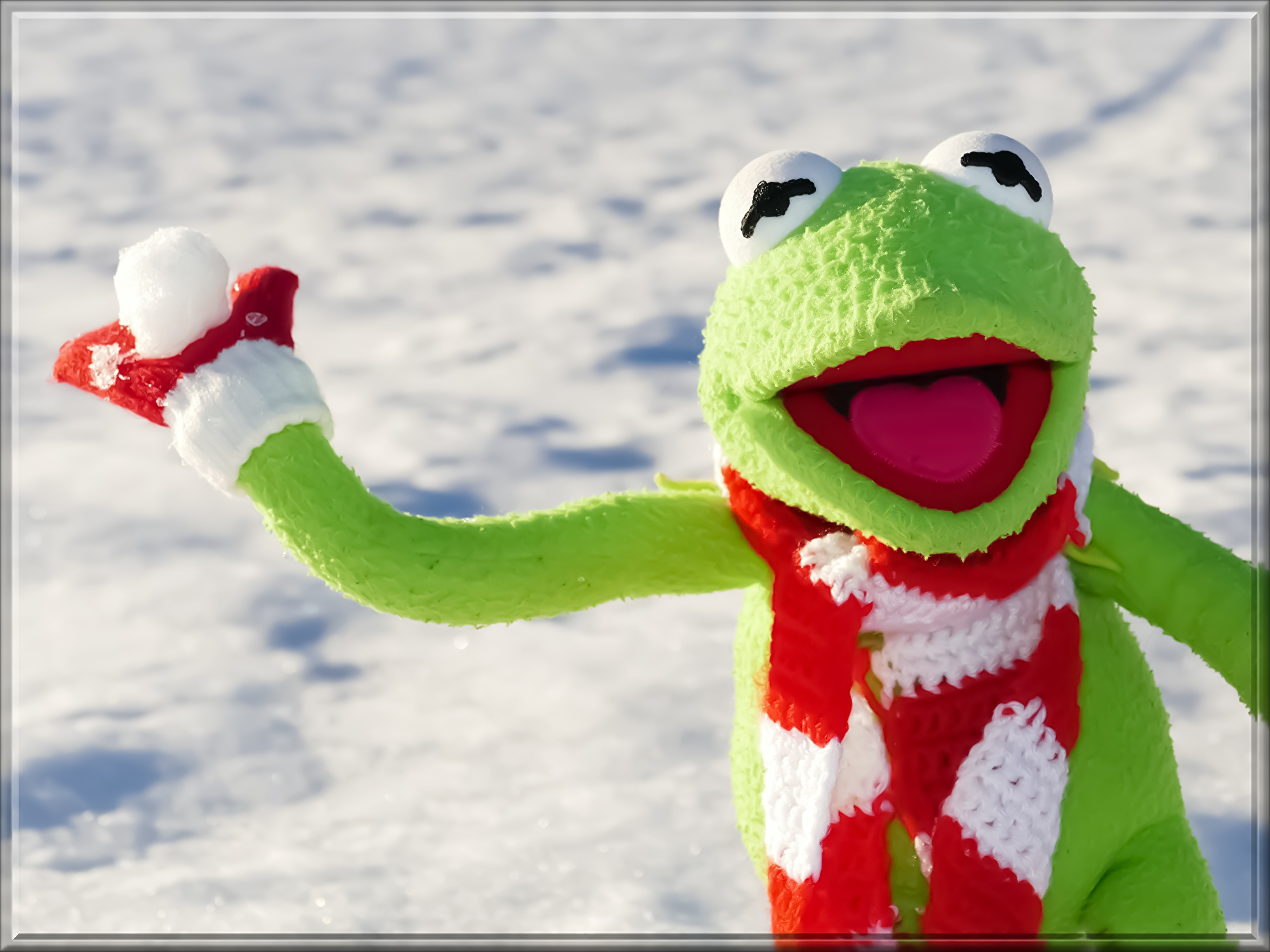 kermit-601710.jpg