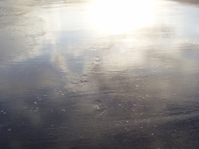 P1010046.JPG