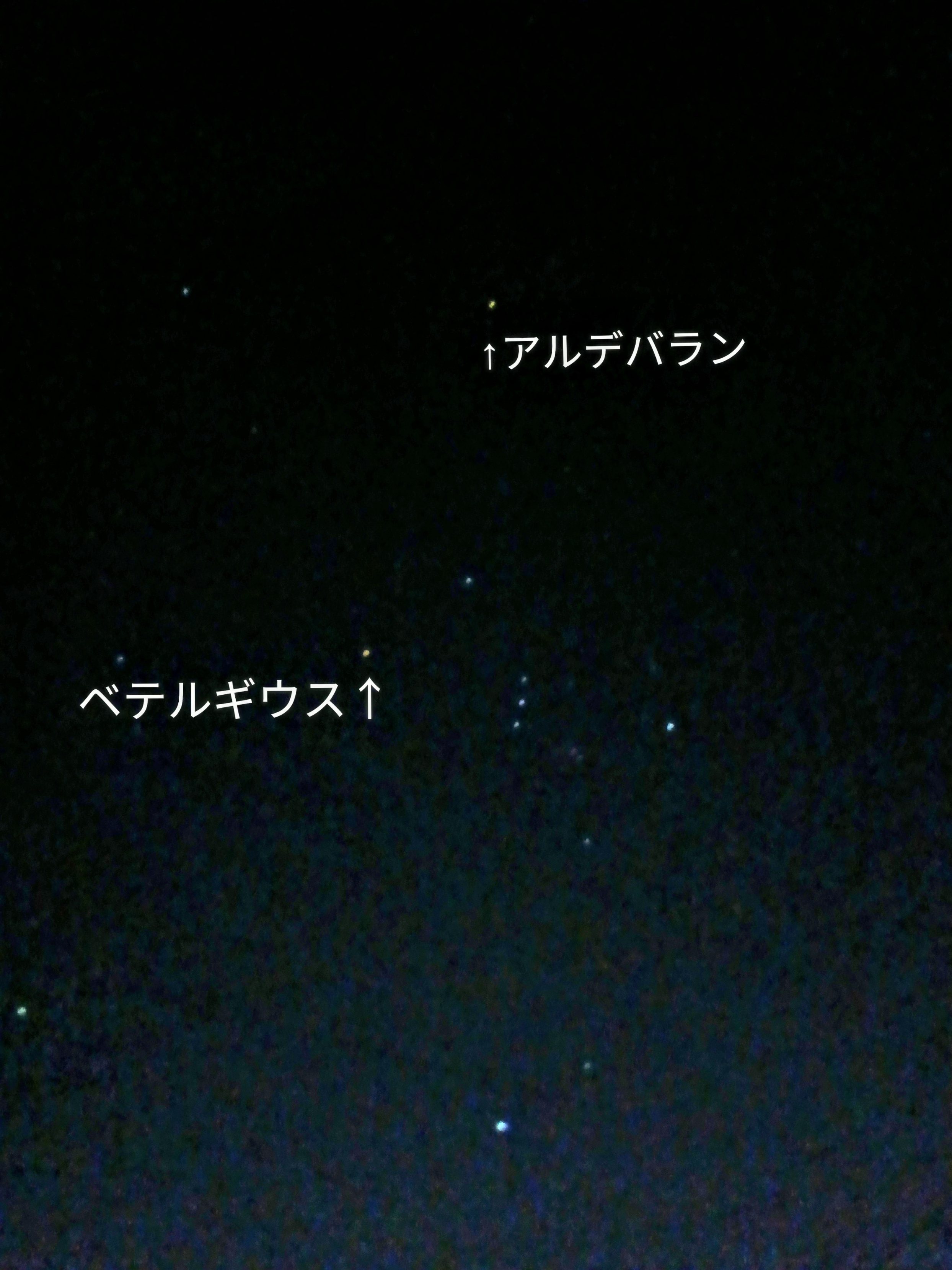 にまいめ、あきほしふゆ.png