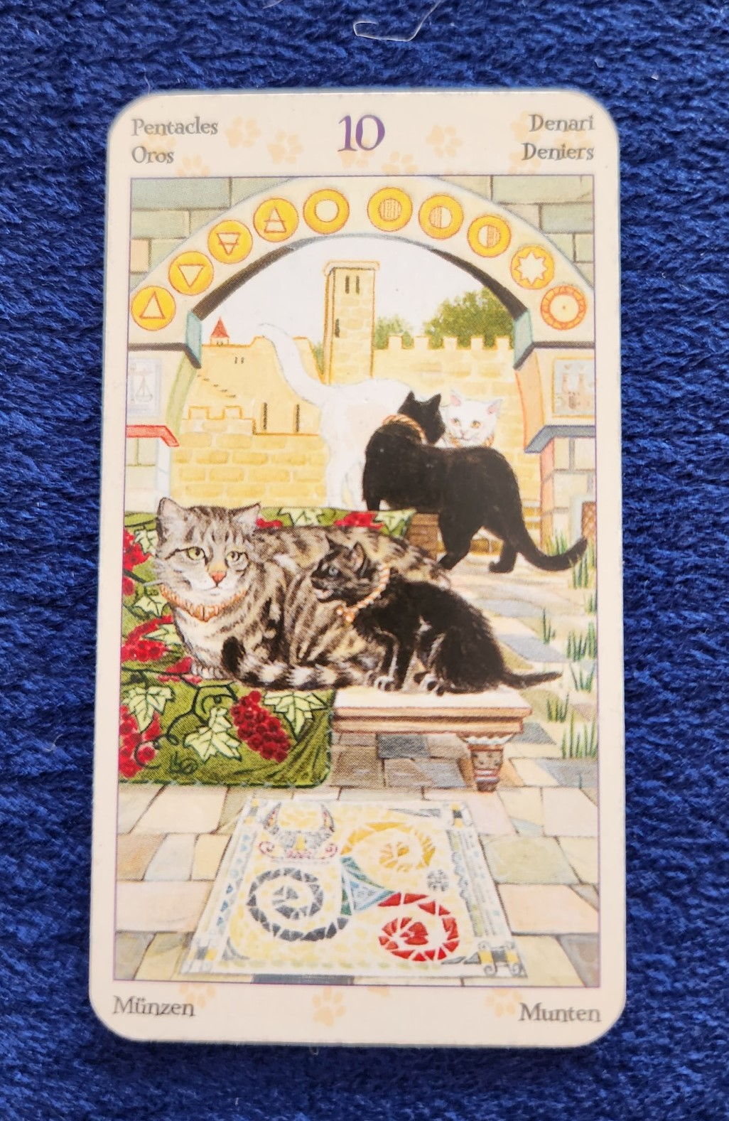 20231019_092506 (002).jpg