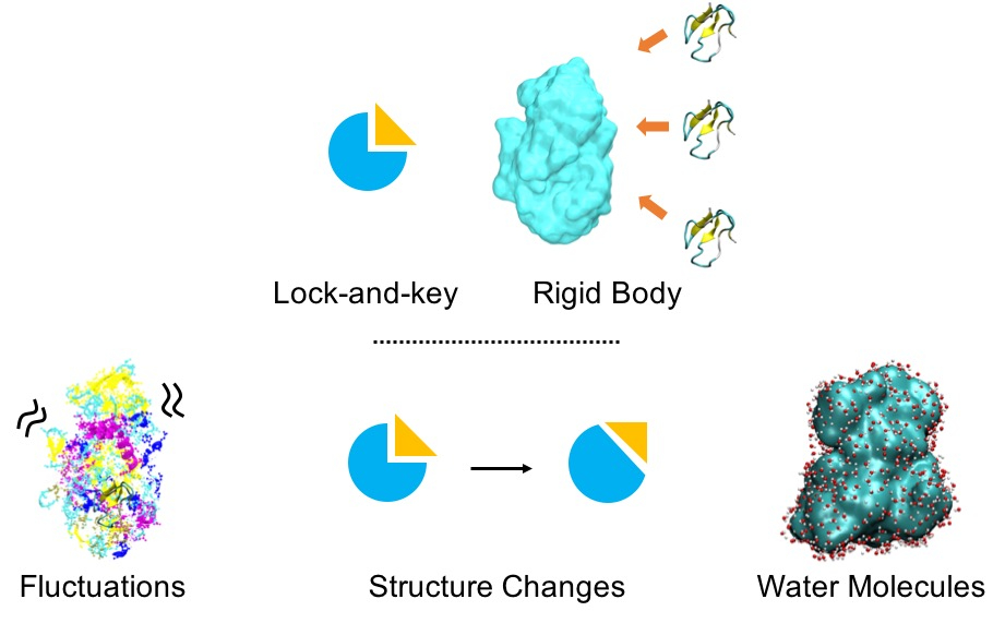 figure1.jpg