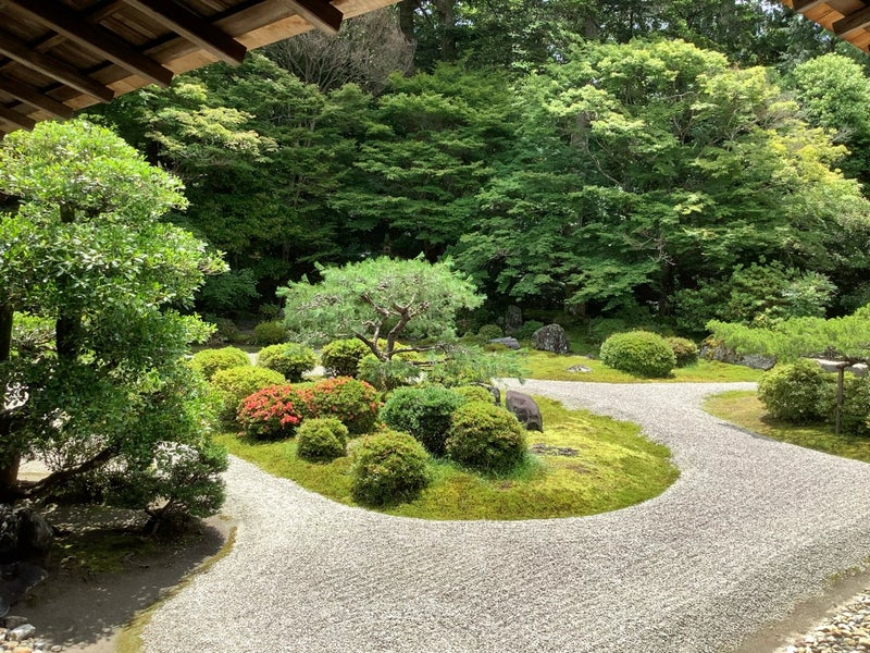 o1080081015451064452.jpg