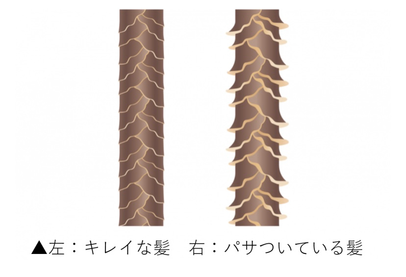 5F19575C-027B-441C-A837-BB08B5FA891D_1_201_a.jpeg