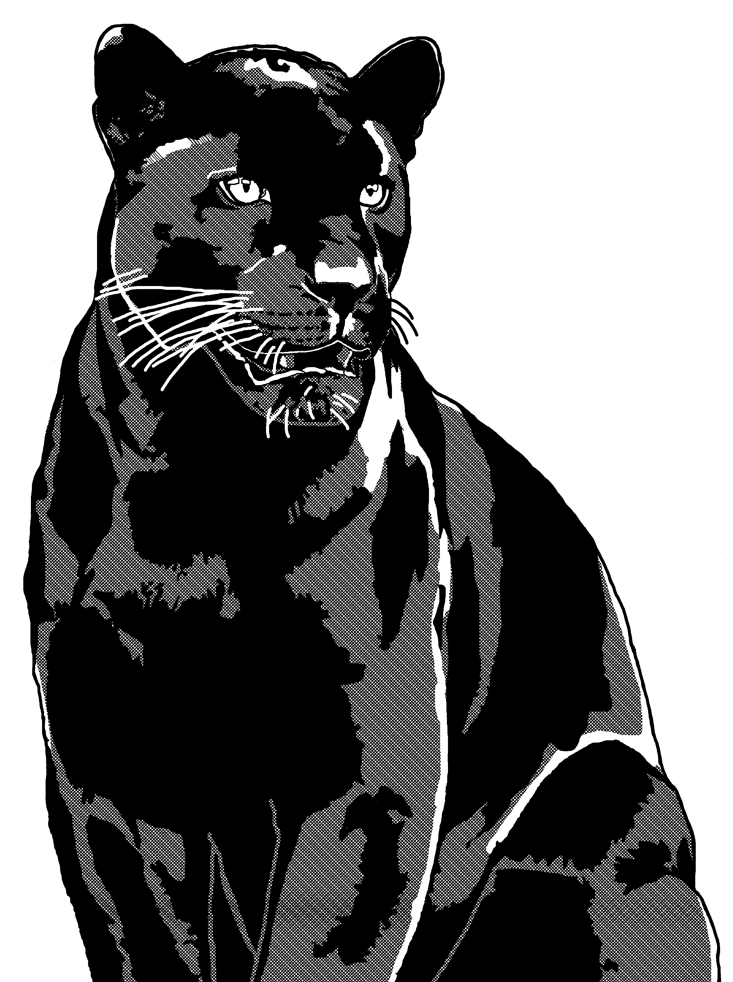 黒ジャガーのコピー.jpg