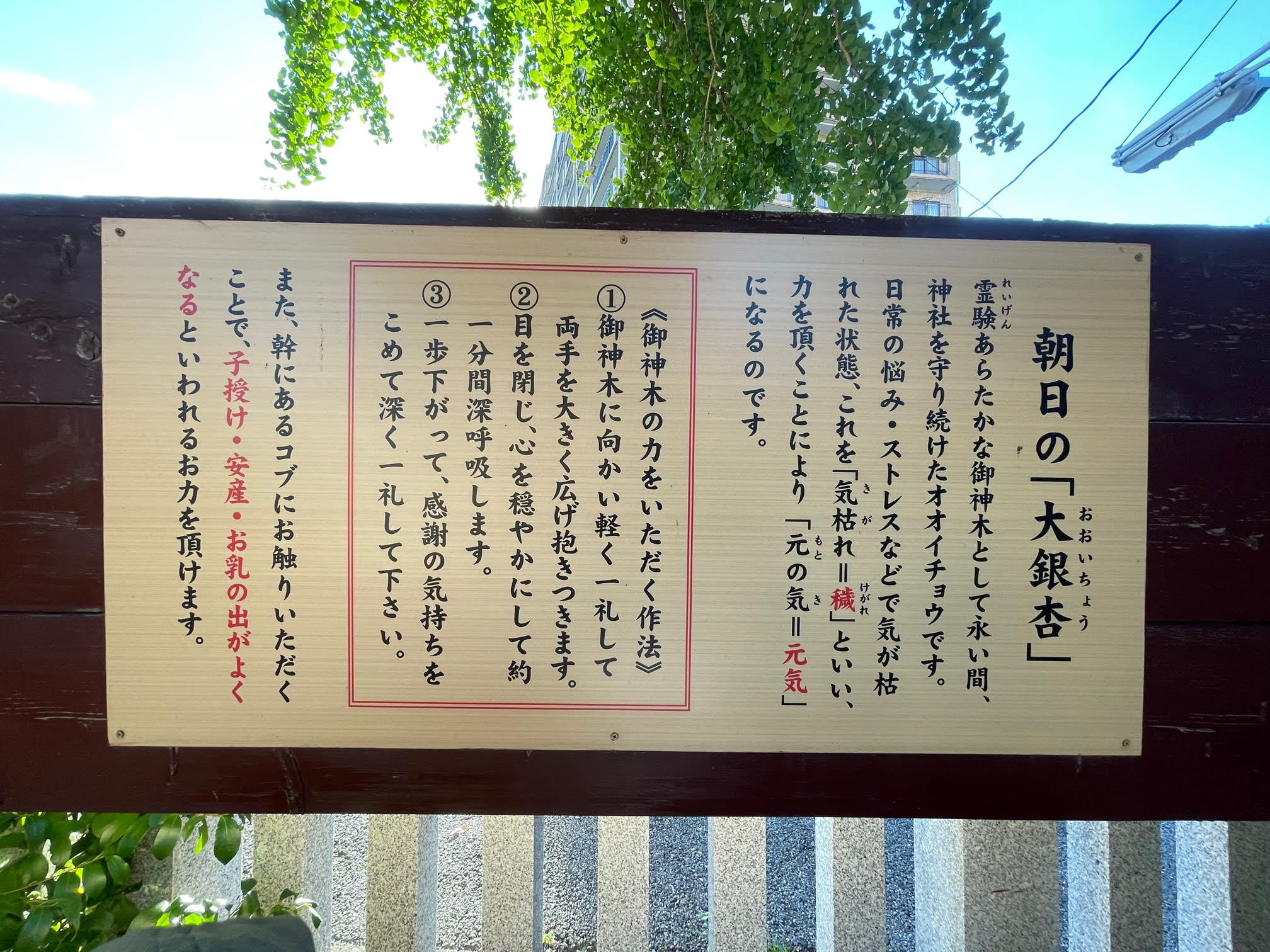 御神木②.jpg