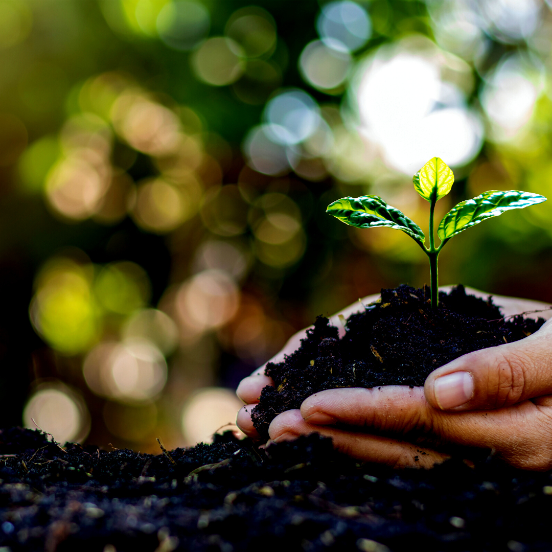 名称未設定のデザイン a.png