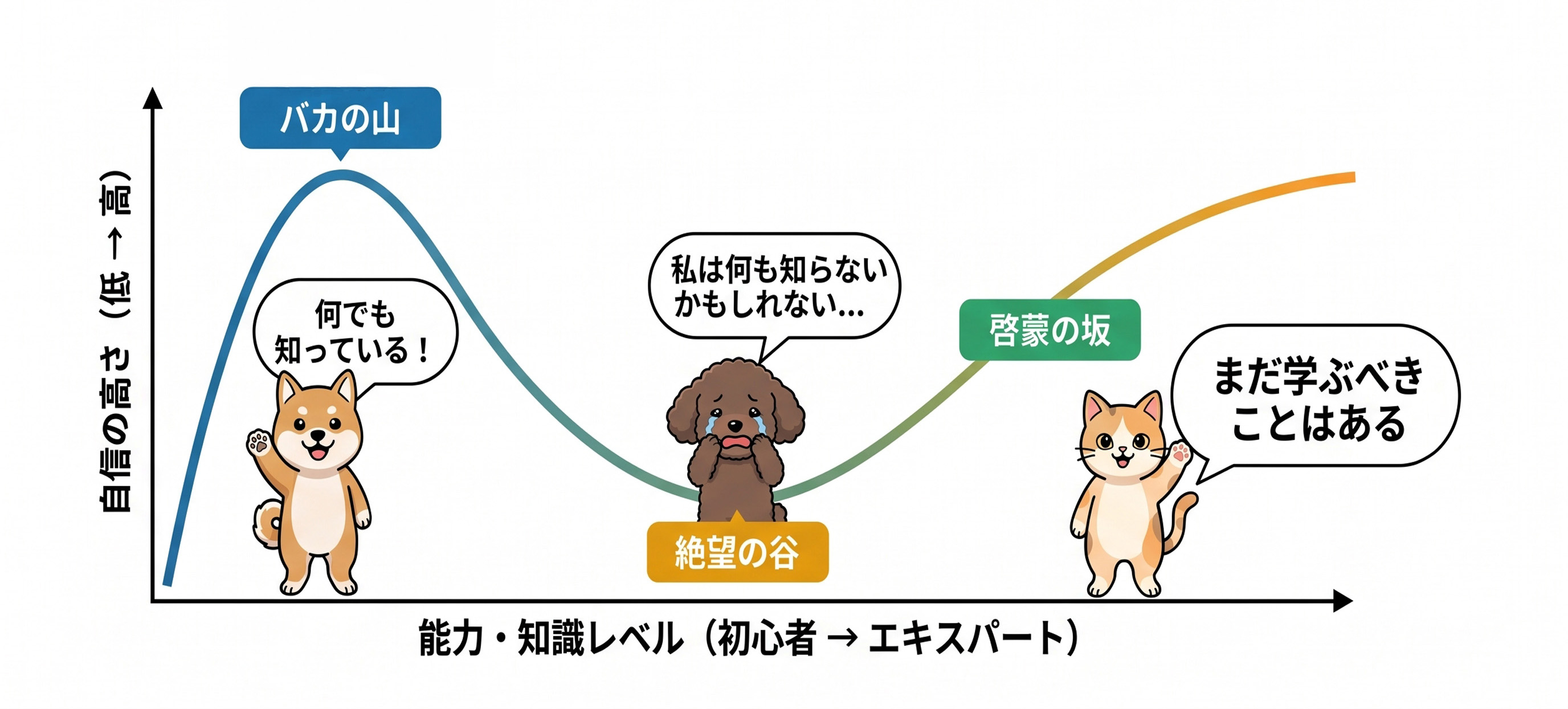 ブログ用イラスト.jpg