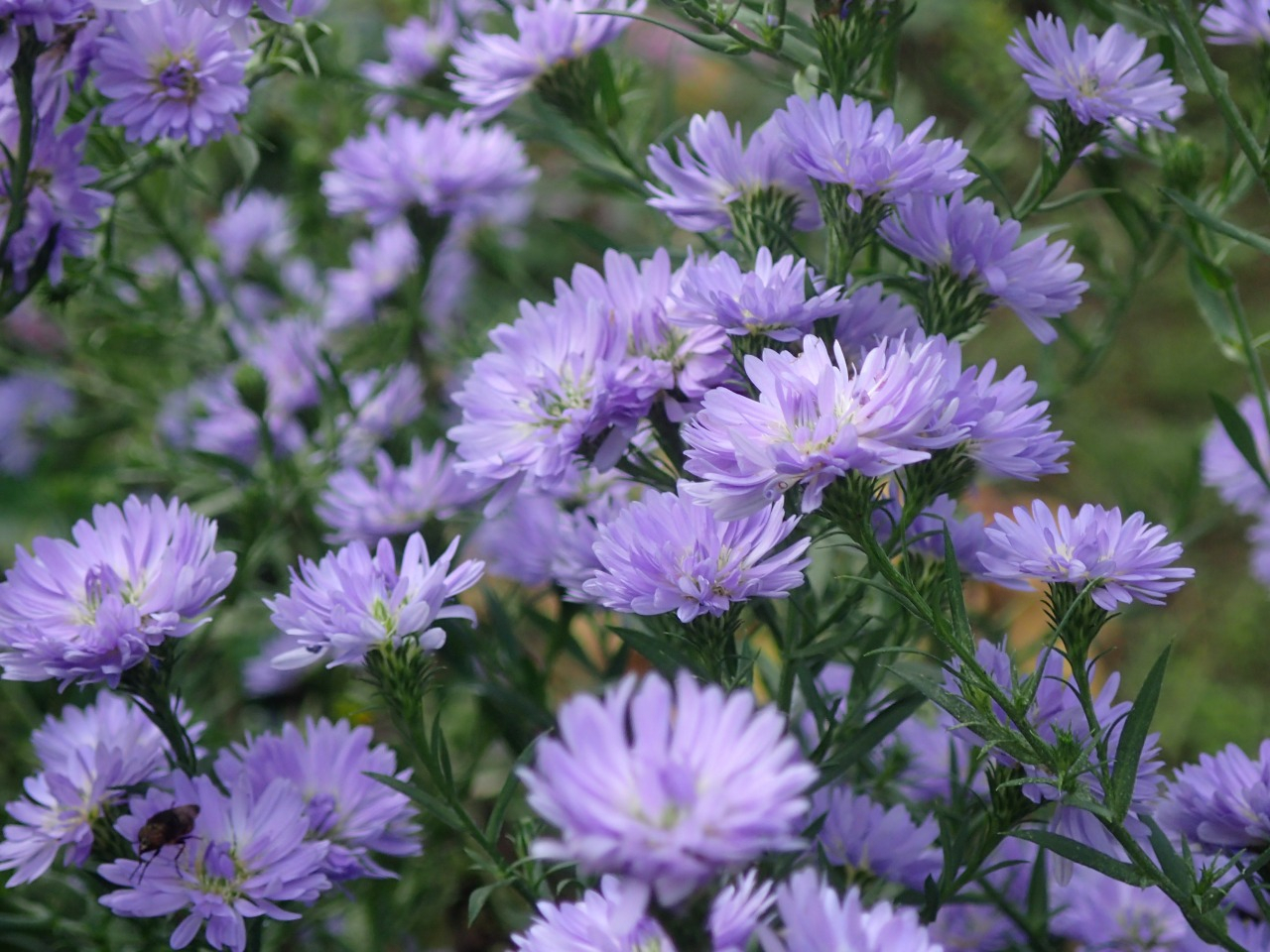 PB010178.JPG