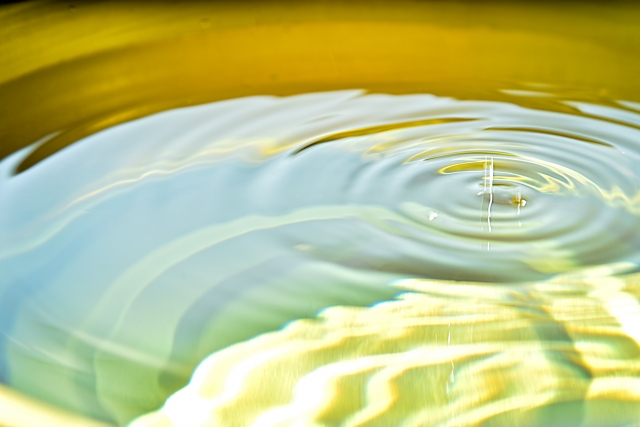 8250EE6F-1EF8-419D-A48E-1A9DE7D63340.jpeg