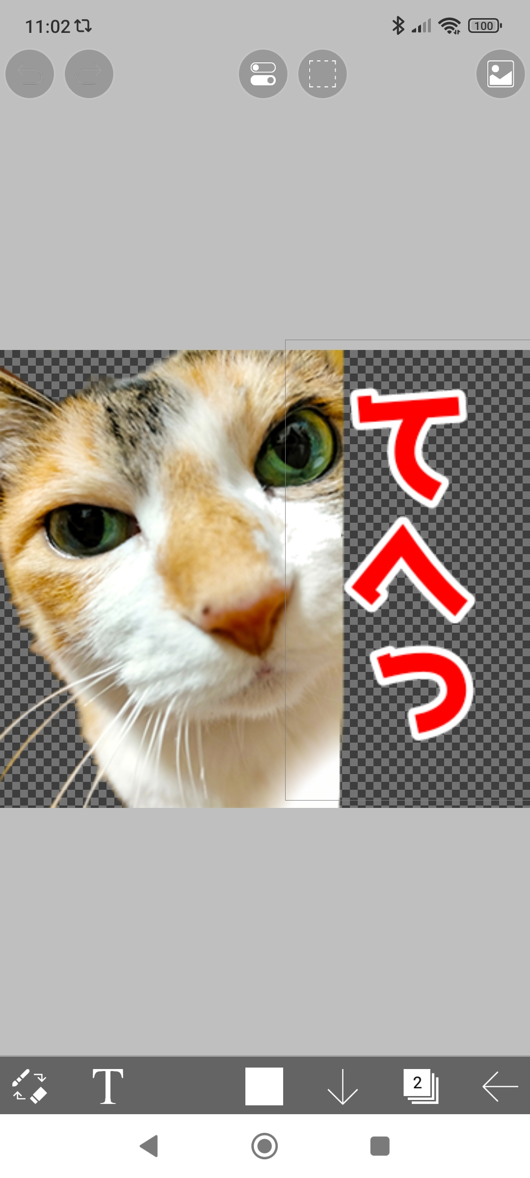 Screenshot_2024-01-08-11-02-58-724_jp.ne.ibis.ibispaintx.app.jpg