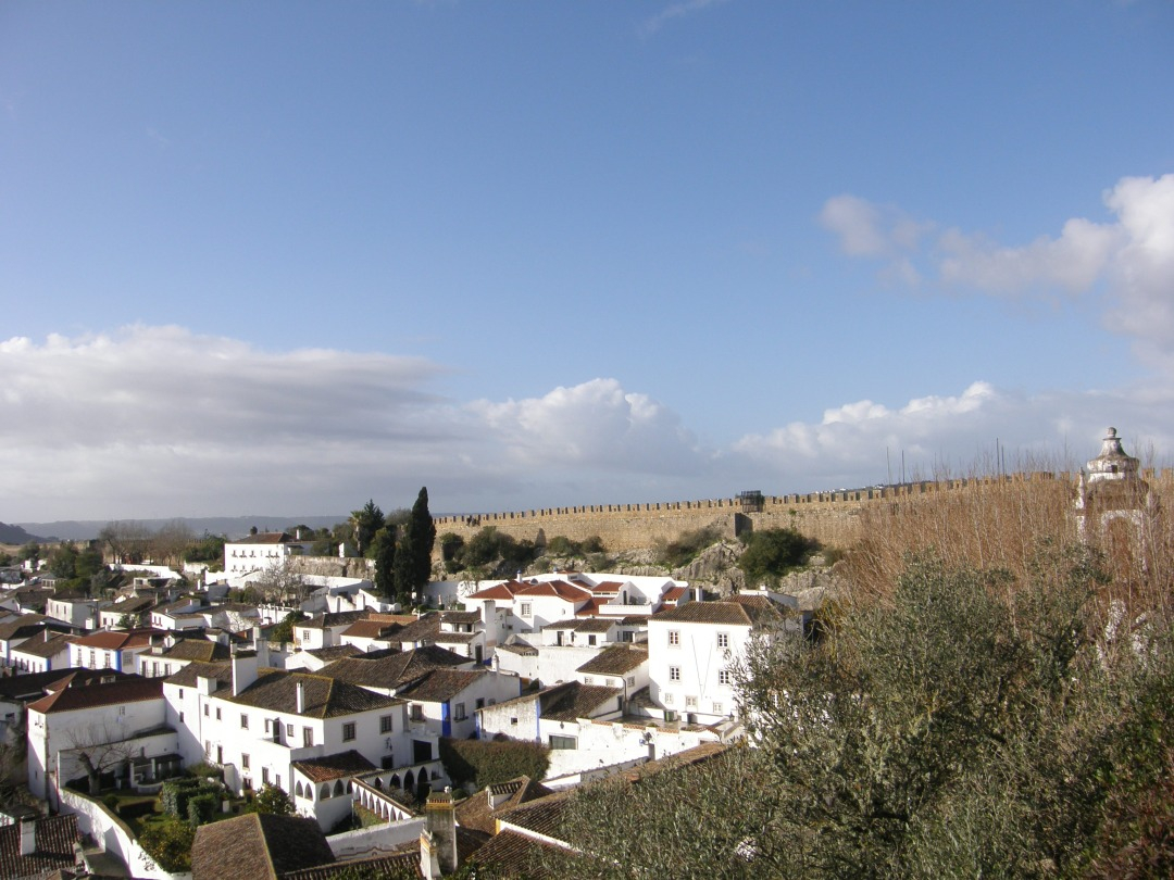 P1261538.JPG