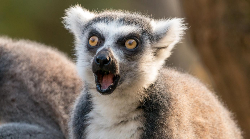 名称未設定のデザイン (26).png