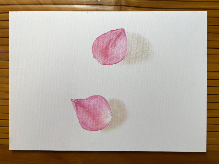 blog-body_fd396855-3c9b-4de5-88df-2056a001125b_IMG_7183-scaled-e1679704837720 (1).jpg