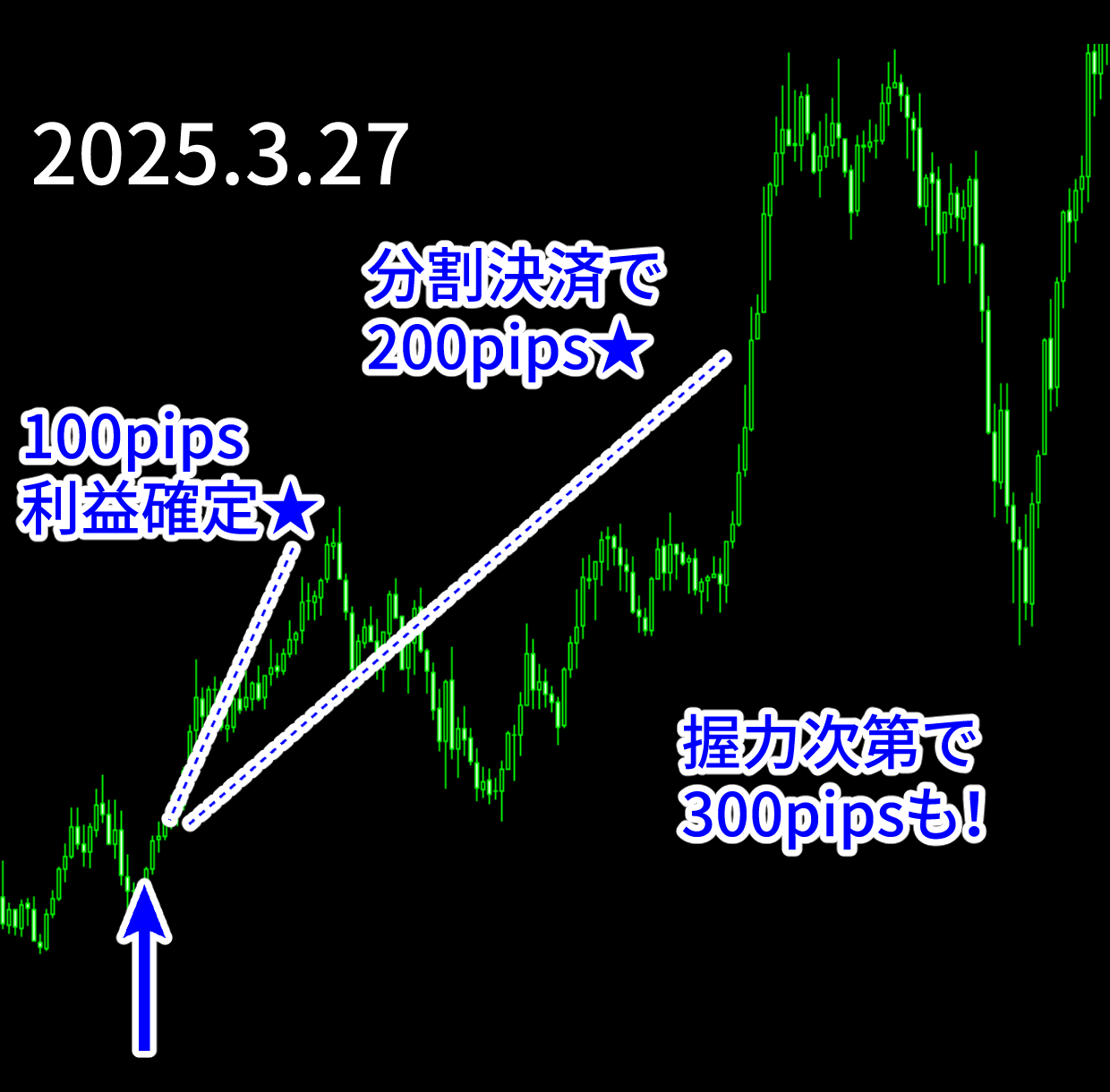 エントリー例_250327.png