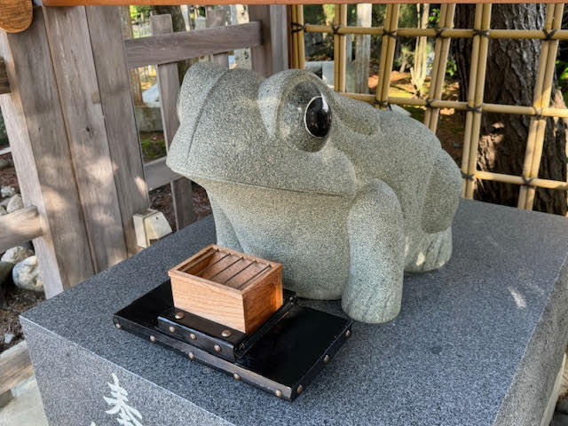 青蛙.jpg
