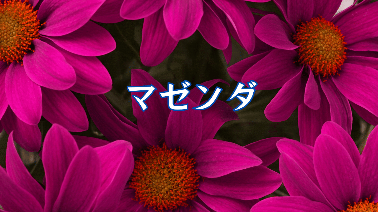 見出しを追加 (40).png