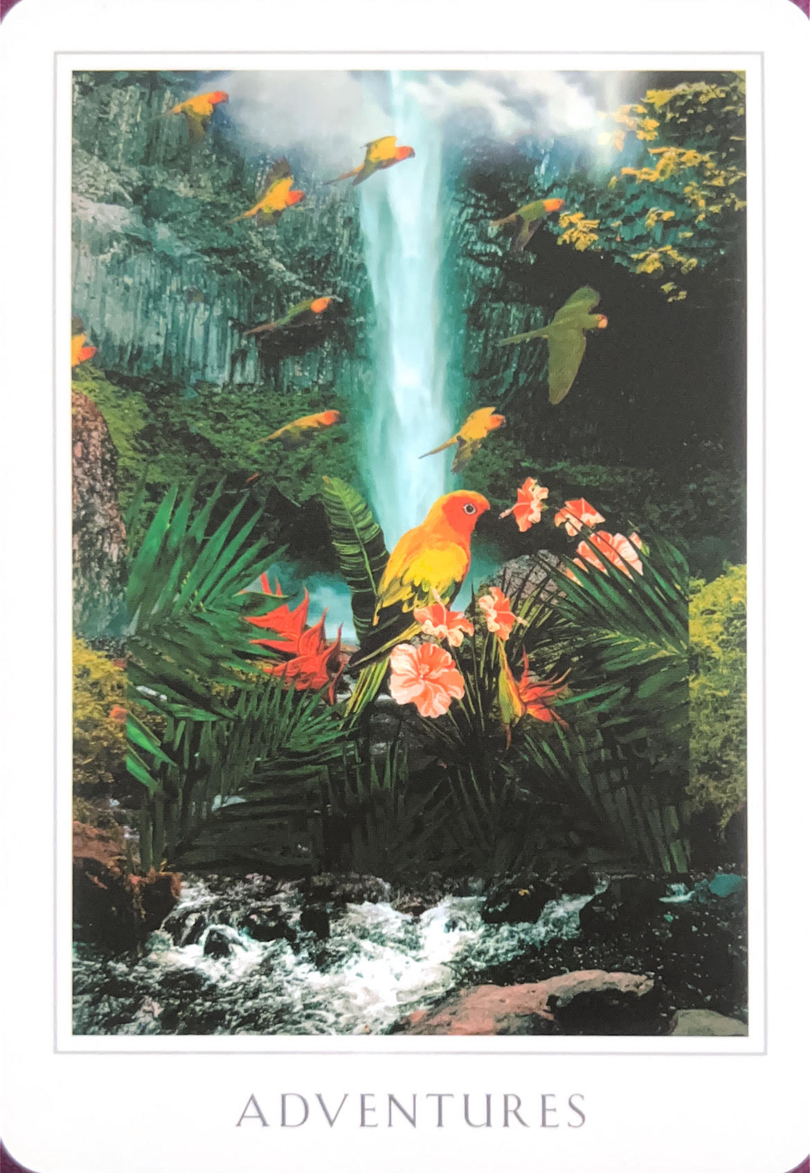 オラクル ADVENTURES.jpg