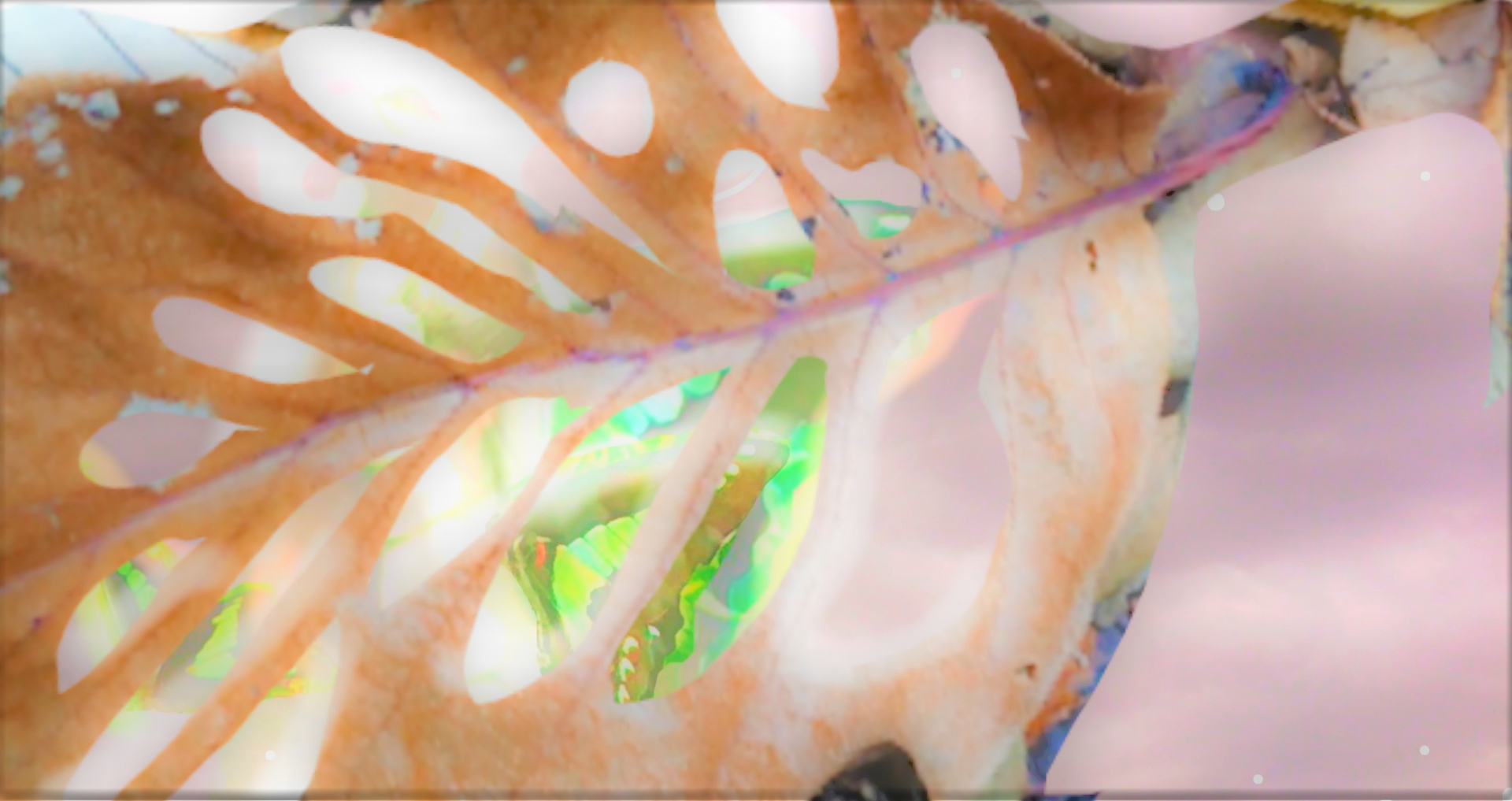 sketch-1669870641262 (2).png