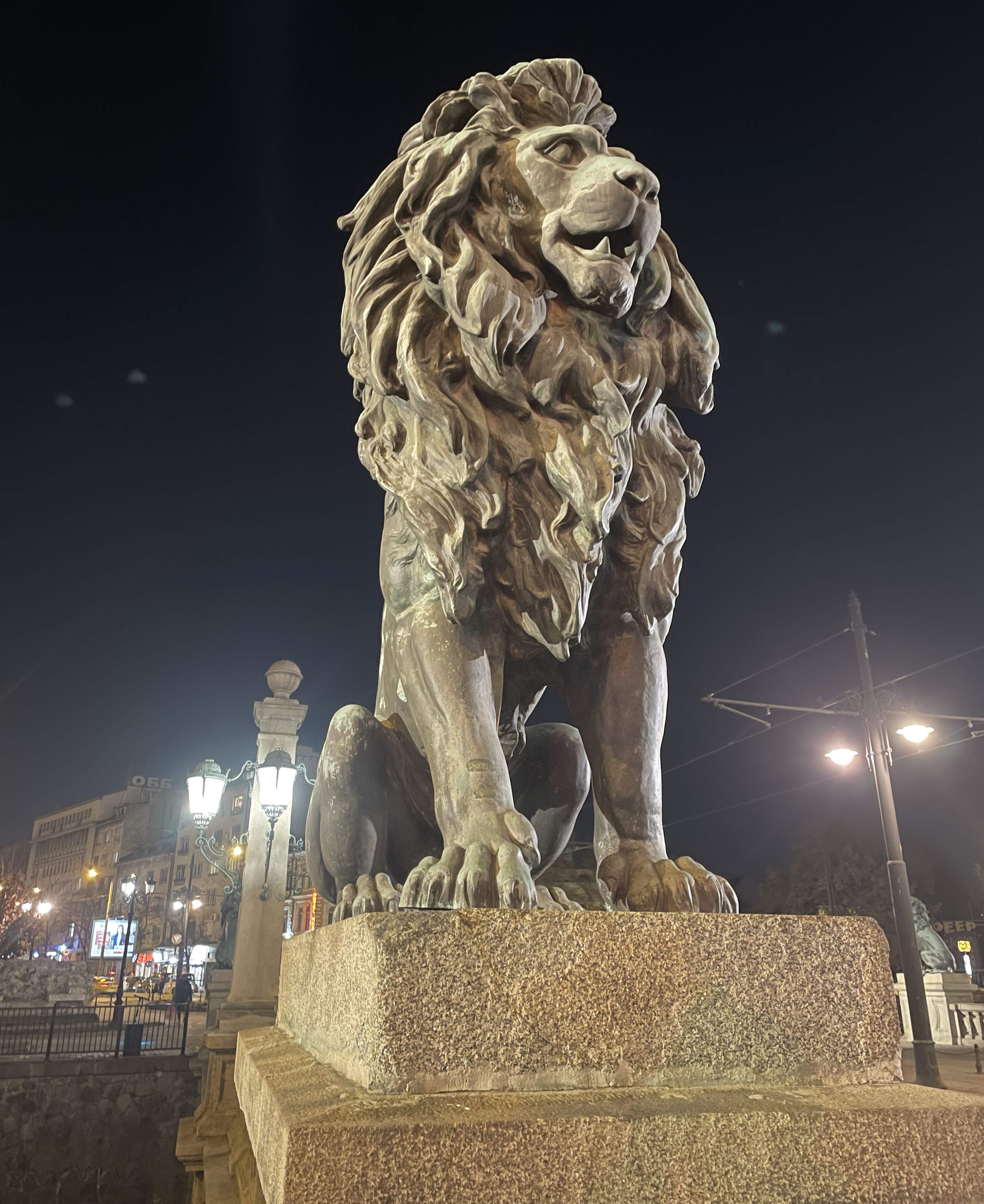 IMG_3005.jpeg