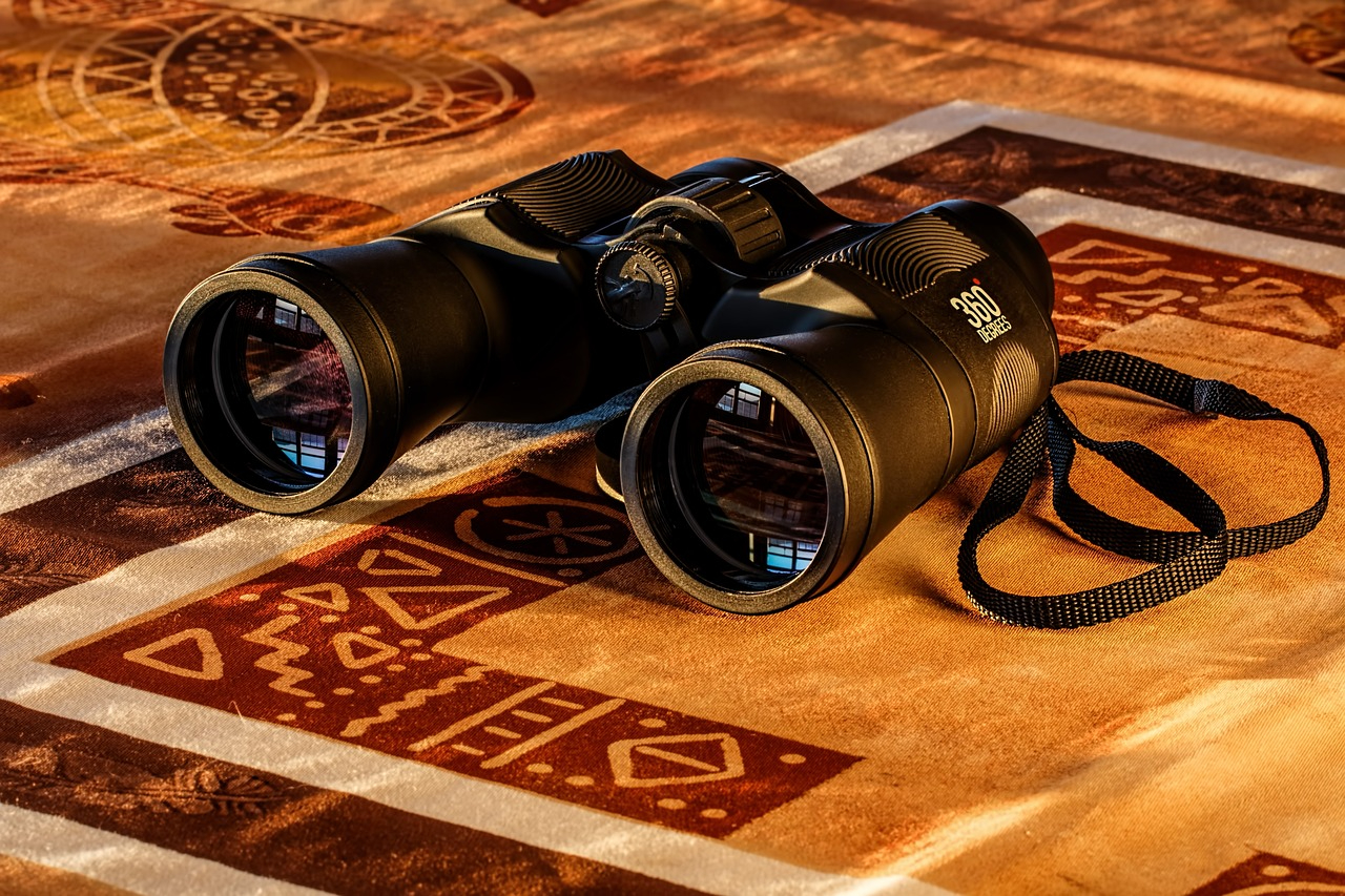 binoculars-431488_1280.jpg