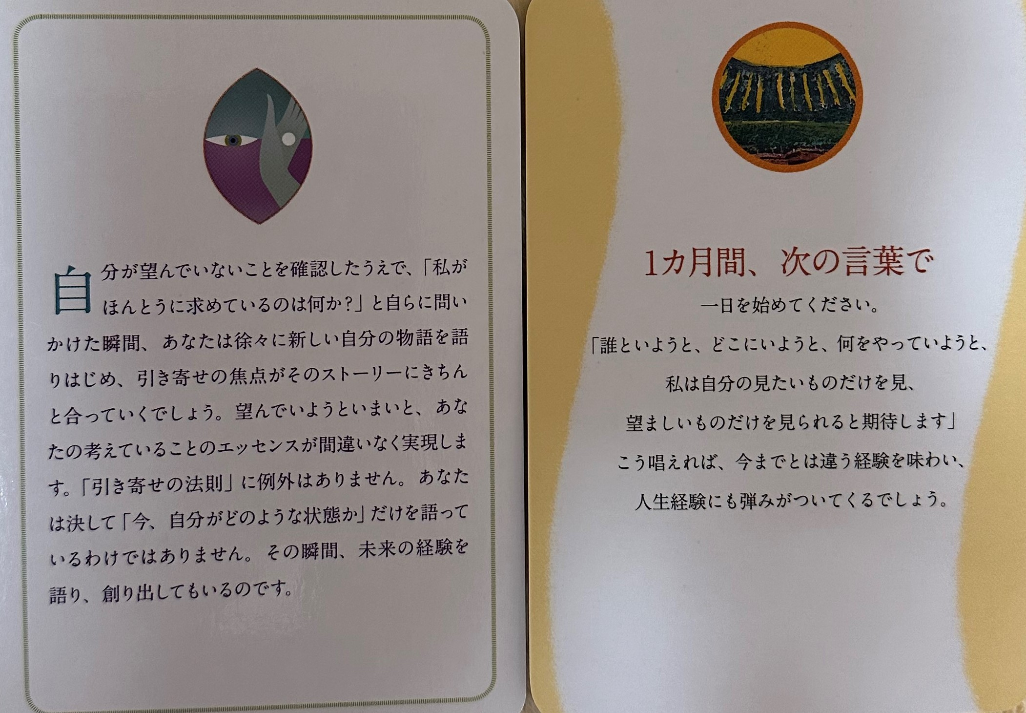 IMG-9784.jpg