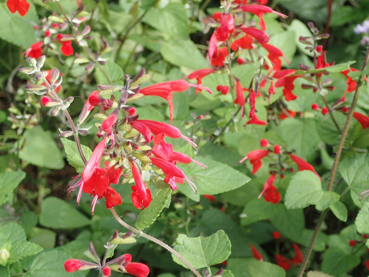 PB010083.JPG