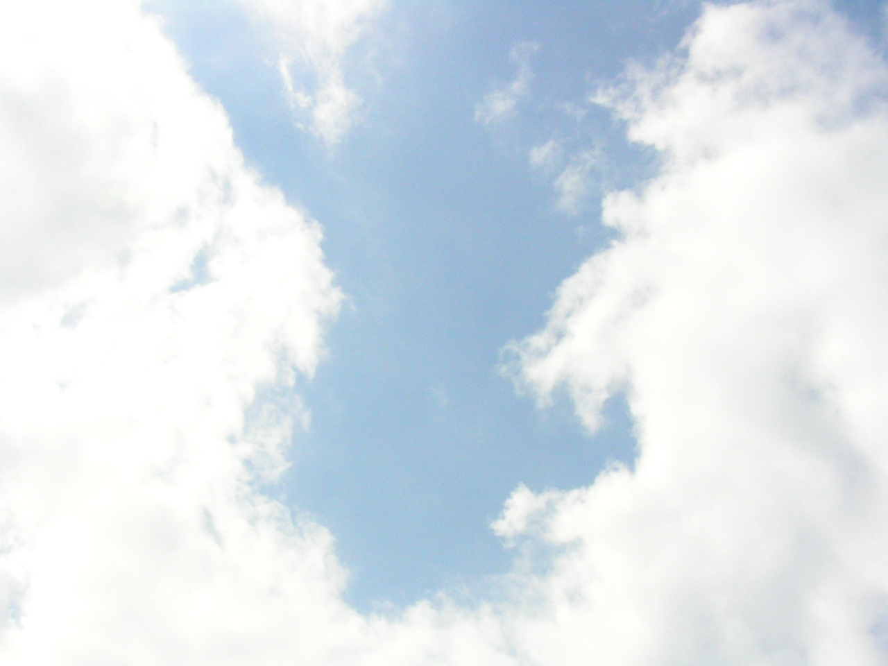 PA260071.JPG