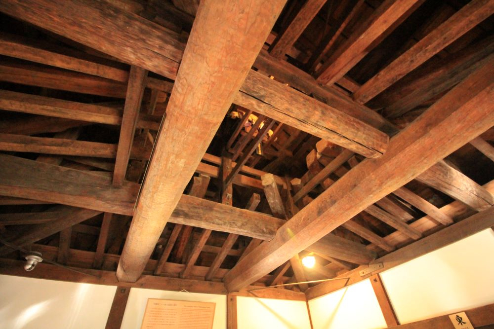 Photo6.JPG