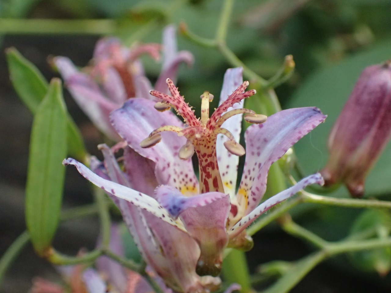 PB010170.JPG