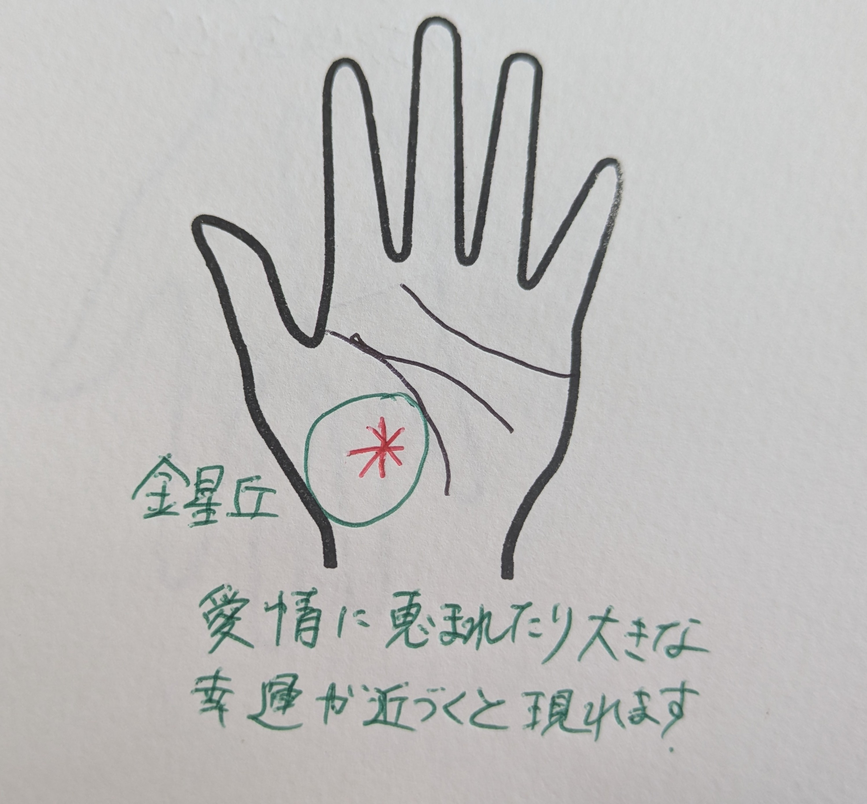 PXL_20251028_013531152.jpg