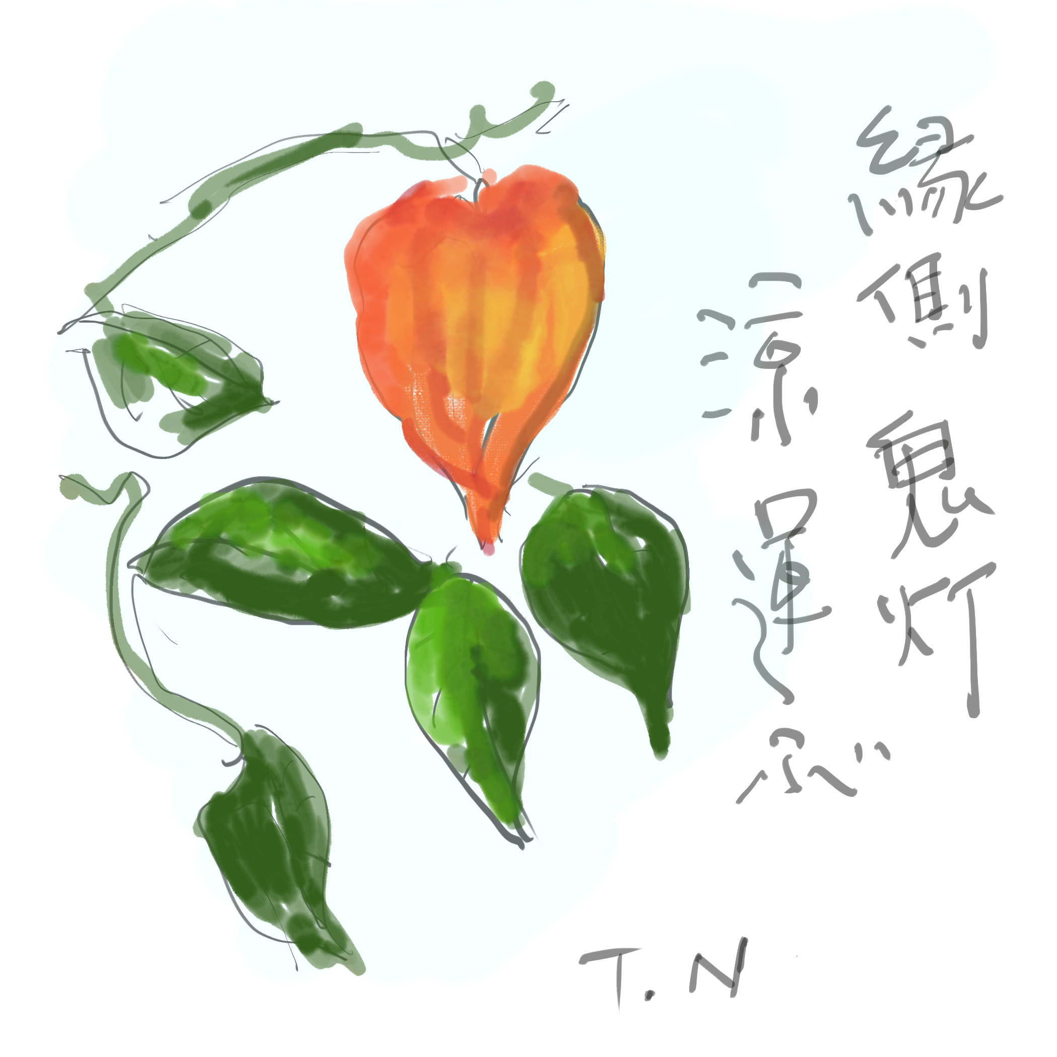 ホウヅキ.jpg