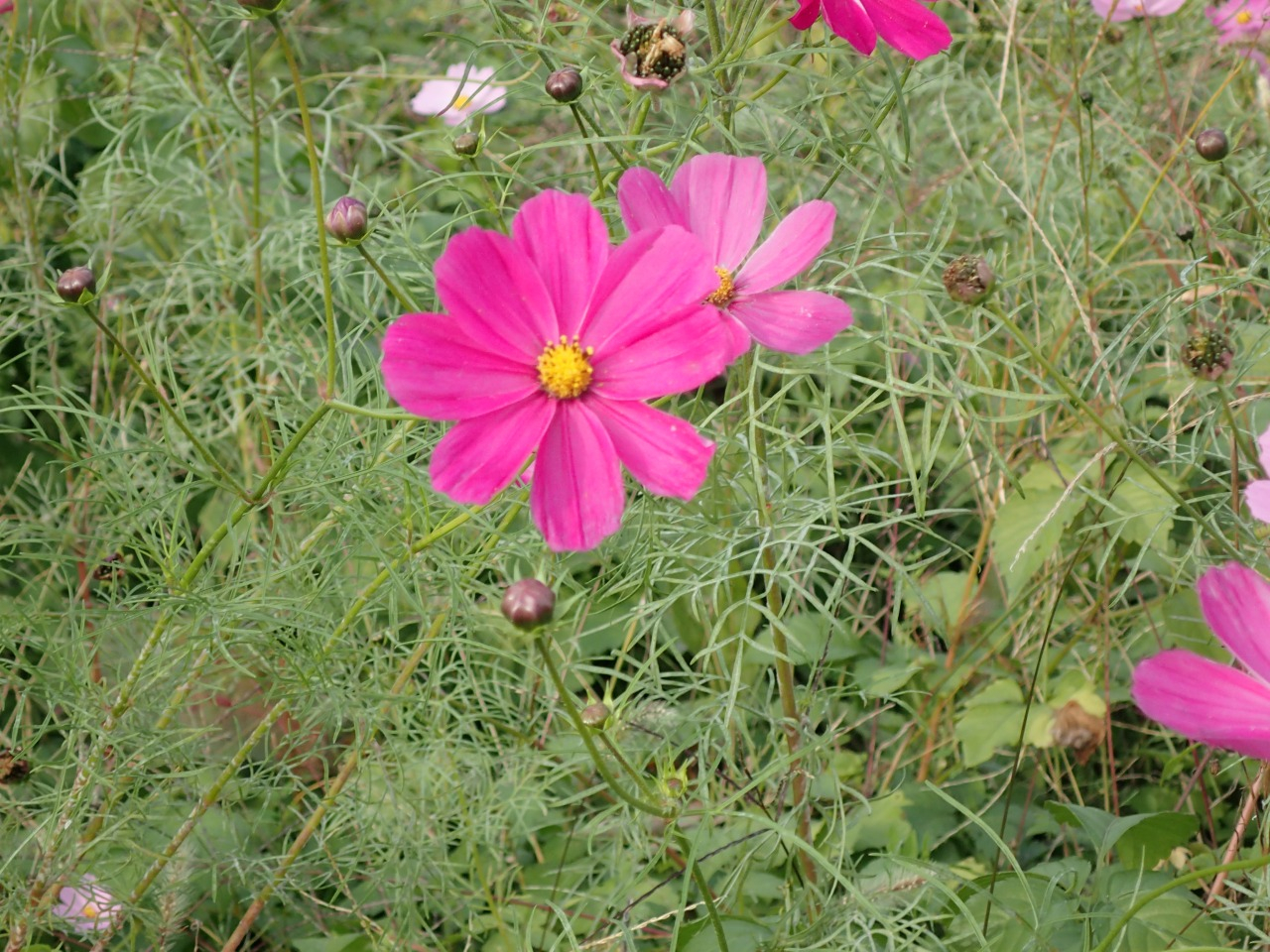 PB080090.JPG