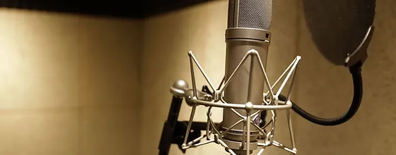 マイクロフォン (1).jpeg