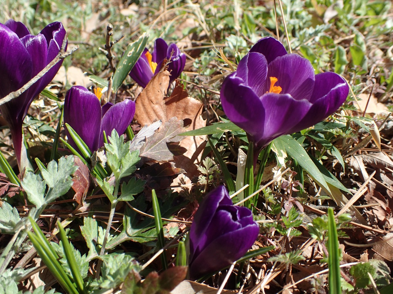 P3021246.JPG