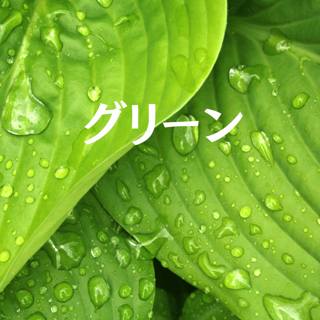 見出しを追加 (20).png